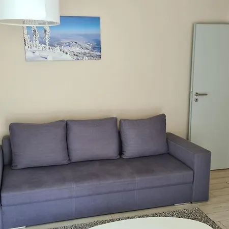 公寓 Czarna Gora B11